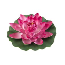Lotus Foam Pink 28 cm