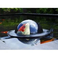 Floating Fish Sphere Large