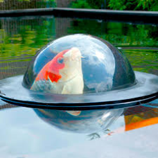 Floating Fish Dome M 56 x 24 cm NEW