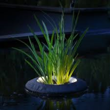 Floating pond light