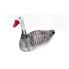 goose grey/white