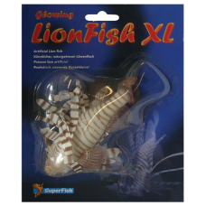KORAALDUIVEL FISH XL